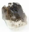 Smoky Quartz Crystal Cluster - Brazil #42028-2